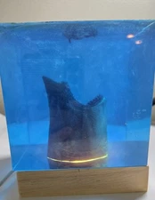 JAWS 3D Epoxy Light Sculpture Art  Handmade USB Switch