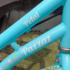 Pazzaz Petal Women’s Blue 26in 1-Speed Dutch Bike w/ Basket Rear Rack Guards