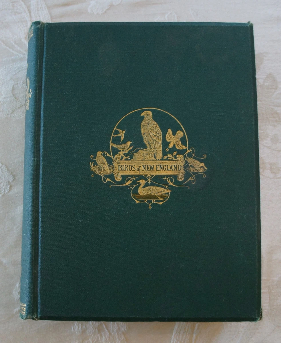 Ornithology 1850-1899 Antiquarian & Collectible Books for sale | eBay