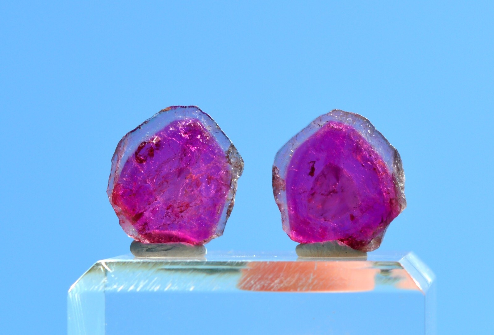Tourmaline Pastèque 22 Carats | Équilibre et Harmonie de la Nature
