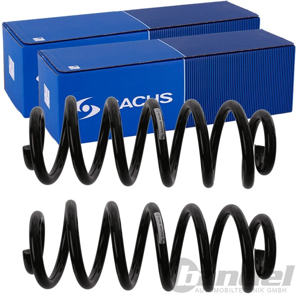 2X Sachs Fahrwerksfedern Hinten Passend FÜR Seat Alhambra Vw Sharan-image