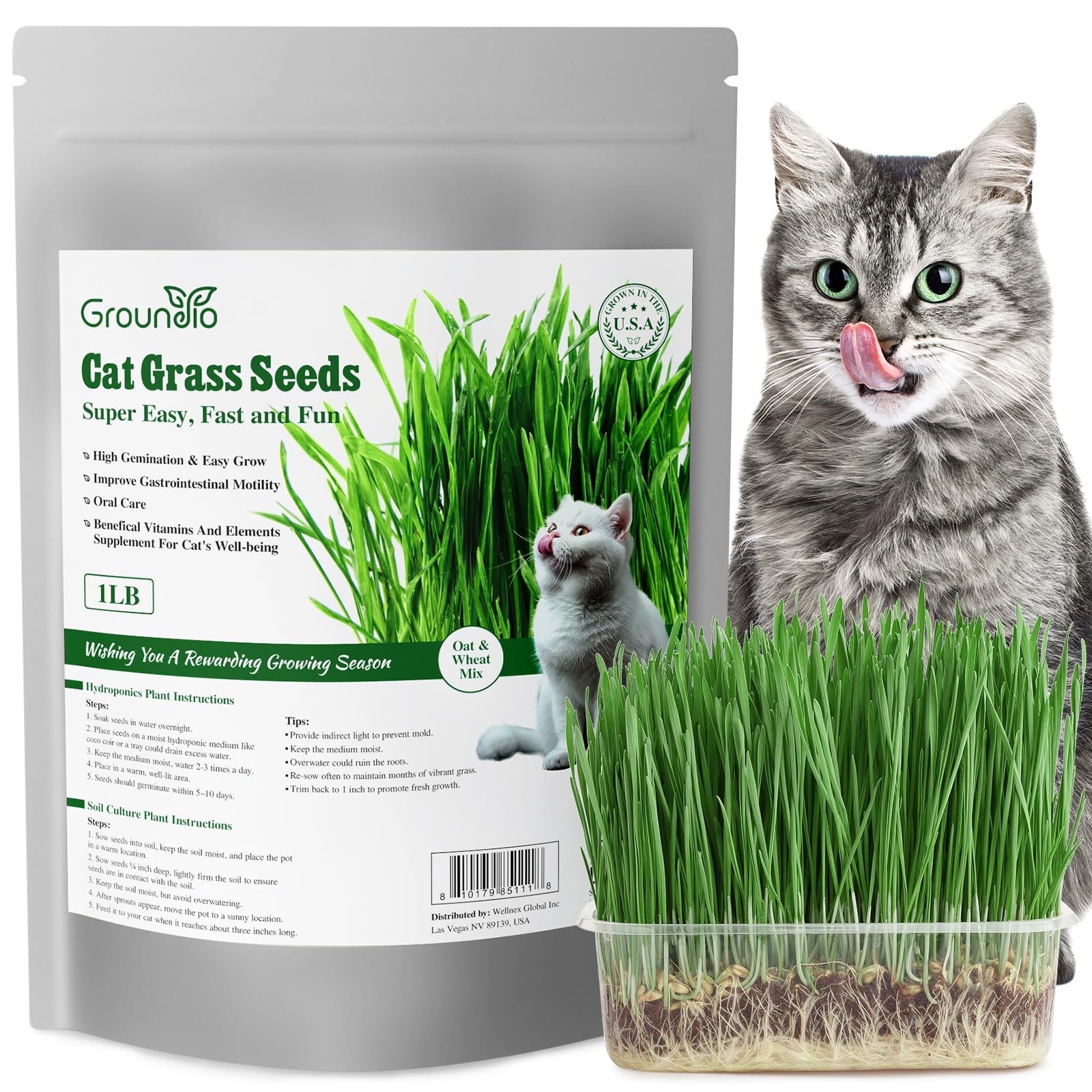 Groundio Cat Grass Seeds, 16 OZ, Grown in The USA for Indoor Cats, Non-GMO, 1 Po