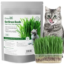 Groundio Cat Grass Seeds, 16 OZ, Grown in The USA for Indoor Cats, Non-GMO, 1 Po