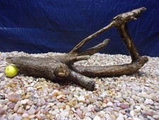 Large Driftwood 11"x22"x07" Aquarium Terrarium Reptile Natural Art