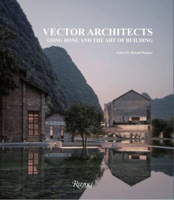 Vector Architects : Gong Dong and the Art of Building, Hardcover by Dong, Gon...