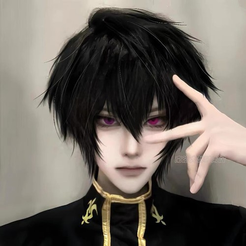 Cosplay Code Geass C.C. Lelouch Kururugi Suzaku Wigs Halloween Hairpiece Props - Picture 4 of 14