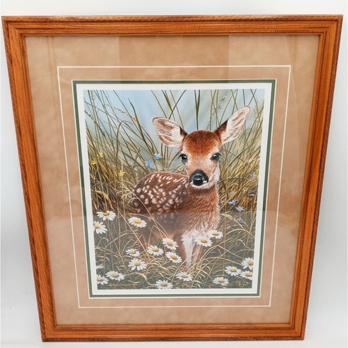 Baby Deer Framed Wall Art Print Limited Edition Signed COA Spring Meadow - Picture 10 of 20