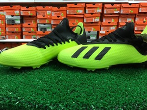 x 18.3 fg