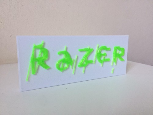 Razer Logo Video Game Collectible Display Text Ornamental Memorabilia Display - Picture 5 of 5