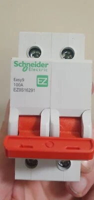 EZ9S16291 Schneider Electric 2P Pole DIN Rail Isolator Switch