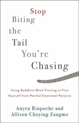 Stop Biting the Tail You're Chasing: Using Buddhist Mind Training to Free Yourse