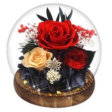 Birthday Gifts for Women Preserved Red Real Rose Flowers in Glass Dome, Forev...