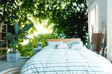 3D Sunshine Green Leaves 20190NA Wallpaper Wa...