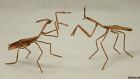 Pair of Copper Praying Mantis Figures - Contemporary Artist Design