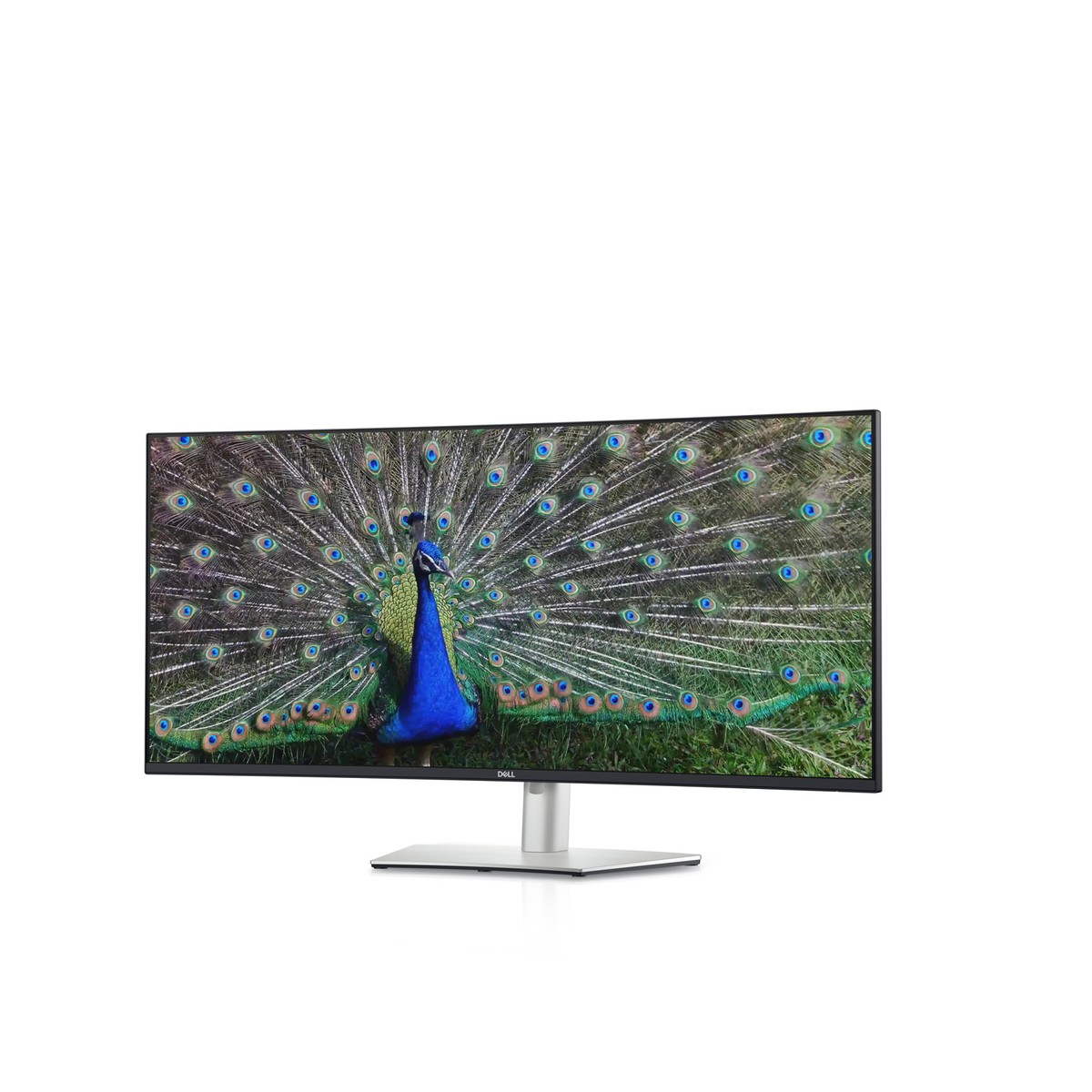 Dell U4021QWA UltraSharp 40