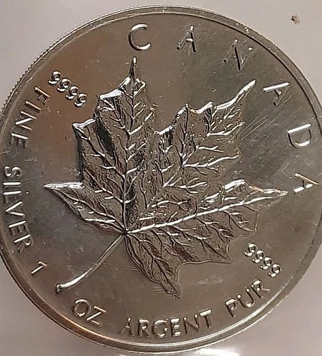 Bigfoots Big Deals- .9999 Fine Silver Maple Leaf 🍁 In Original Government Pack