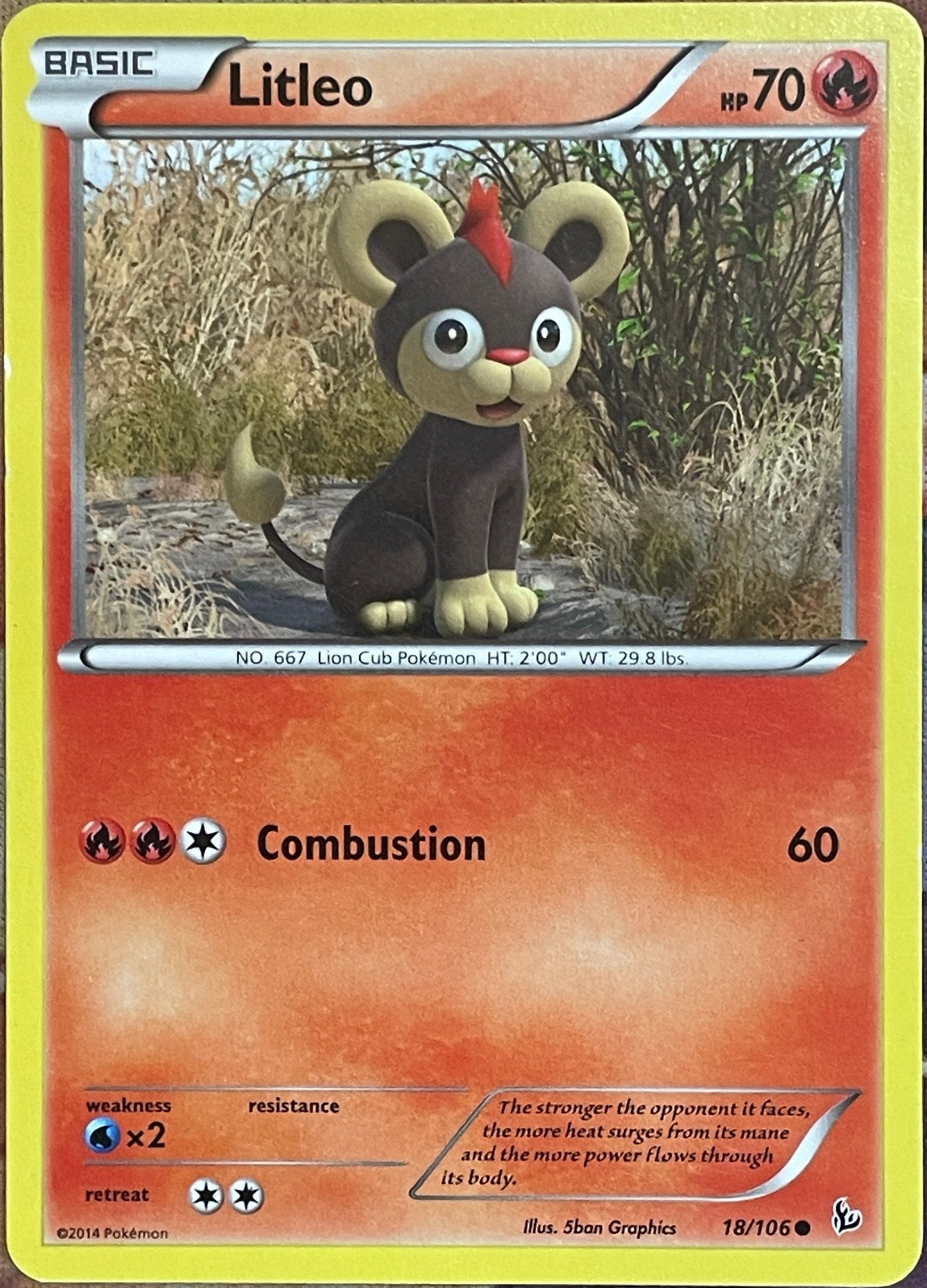 Litleo - 18/106 - XY Flashfire Pokemon 2014