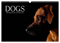 "Calendar 2027 · US Version · Dogs (Wall Calendar 2027 17\" × 12\" Landscape), Calv"