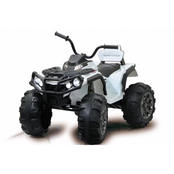 Jamara Quad Protector Quadriciclo cavalcabile (Jamara Ride-on Quad Protector 12V