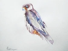Kestrel, Birds, Watercolor artwork, Handmade, Original painting on paper