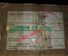 Woodward 9905-387 Brand New Fast Shipping DHL...