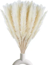 30 Pcs White Pampas Grass ,17 inch/45 cm Natural Dried Pampas Grass Branches Dec