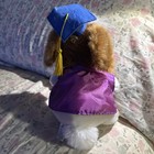 Picture 8 of 24