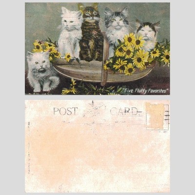 Vintage Postkarte - Fünf flauschige Lieblingskätzchen im Korb Blumen UNBESPOSTED
