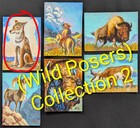 ACEO Original 3.5"x2.5" inch Hand Painted, Coyote, Dog, Wolf, Cloud,OOAK Misael  — photo 3