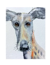 Aceo By Kenna Painting HP  Dog Portrait  2.5” X 3.5”