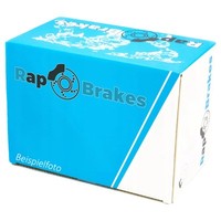 RAP Brakes R-J1074 Bremssattelhalter FüR Corolla 1.4-2.0D 10.01-03.08 Toyota