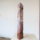Bild 15 von 15