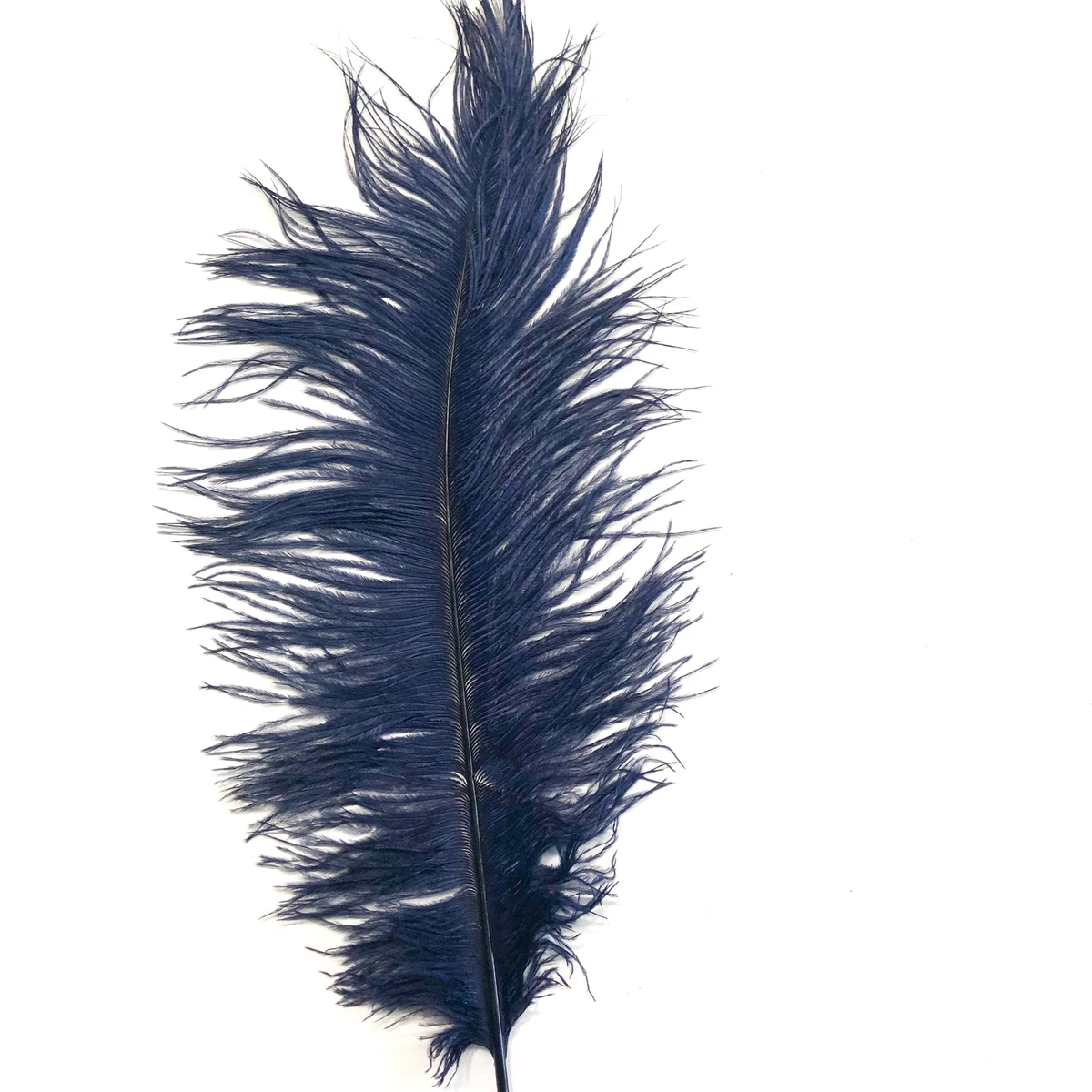Ostrich Feather Drab 37 42cm Navy Blue eBay