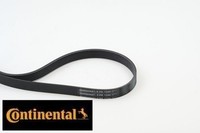 Continental Ctam 6PK1244 Keilrippenriemen Keilriemen