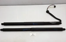 ✅ 12-20 OEM Tesla Model S Rear Tailgate Support Shock Lift Trunk Lid Strut SET