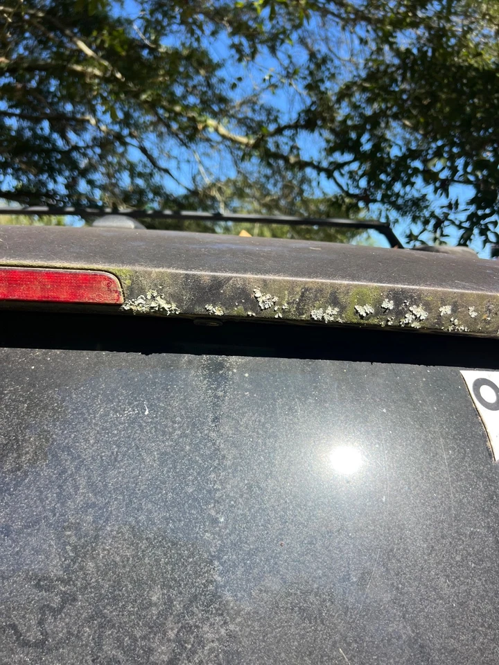 Chrysler Town & Country 2011-2016 OEM maletero trasero tapa elevadora montaje carcasa PXJ Foto 3 de 4