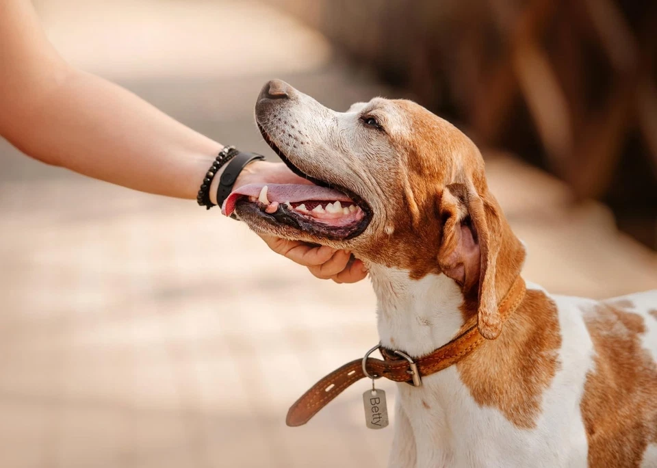 Kit De Estampado De Metal De 37 Piezas Sellos De Números Y Letras De 3 Mm (1/8") Foto 4 de 4