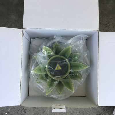 Scentsy Aloe Vera Succulent Warmer New in Box | eBay