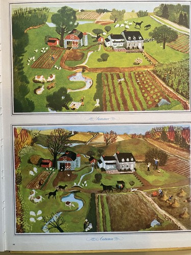 The Golden Dictionary Giant Golden Book 1971 1030 Words 1500 Color Illustrations - Picture 7 of 11