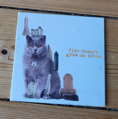 Brian Jonestown massacre Fire Doesn't Grow On Trees CD Psych Rock Indie
