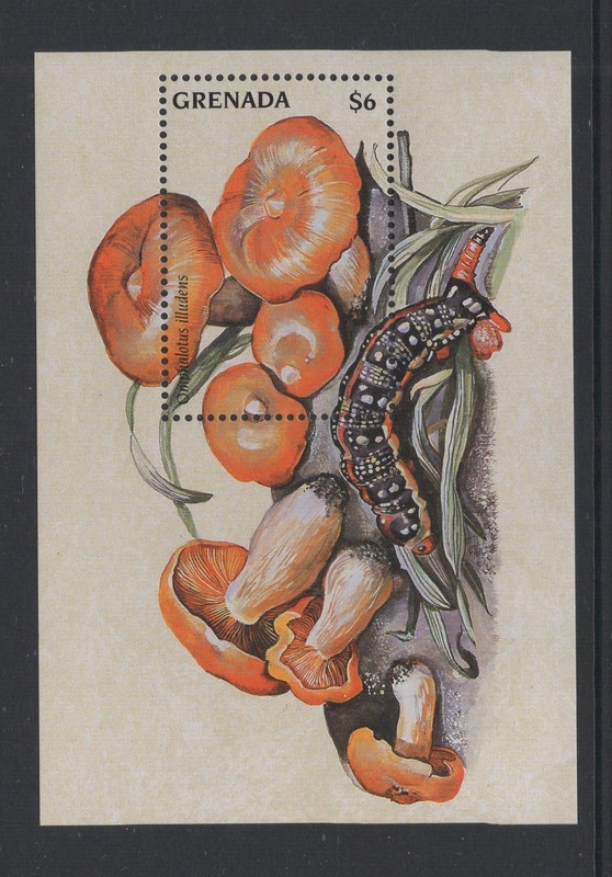 GRENADA 1997 #2709-2710 Souvenir Sheets/Mushrooms/Hongos/Pilze/Fungi