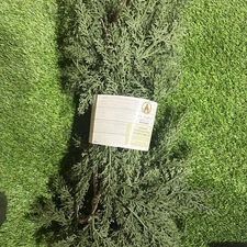 NEW My Texas House Cedar natural feel 9ft Garland Christmas FREE SHIPPING 