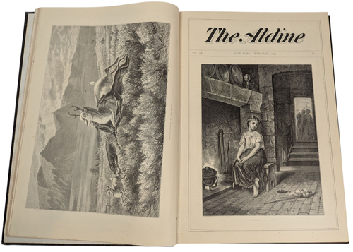 The Aldine Art Journal of America Volume VII 1874 Leather Oversize - Picture 14 of 21