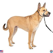 PetSafe Gentle Leader No-Pull Headcollar for Dogs, Medium Charcoal, Adjustable