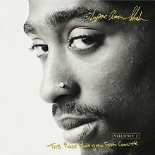 Rose That Grew from Concrete (2Pac Tribute) von Various | CD | Zustand gut