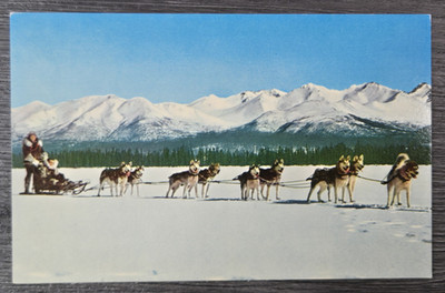 Vintage Color Postcard Northern Alaska Husky Dog Team