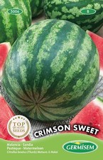 Wassermelone Crimson Sweet Samen mehrfarbig Premium Qualit&auml;t