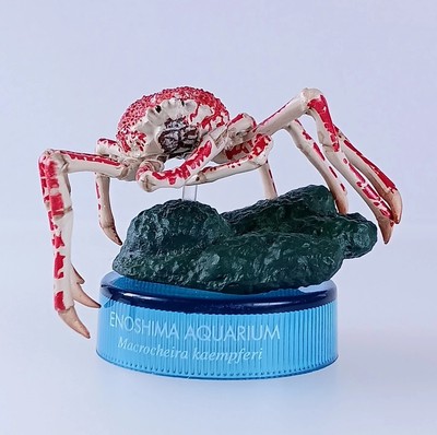 Japanese Spider Crab Enoshima Aquarium × Seven-Eleven Bottle Cap