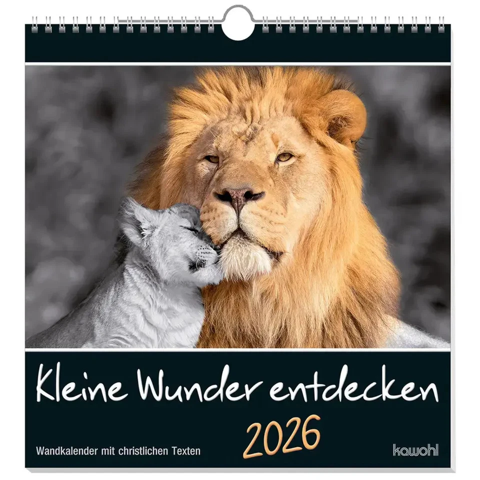 KAWOHL Kleine Wunder entdecken 2026 | Wandkalender mit christlichen Texten | Deutsch