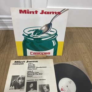 Casiopea Vinyl Mint Jams | eBay